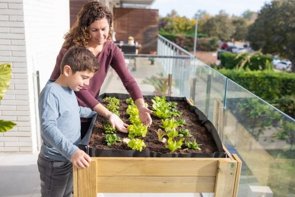 Beginner Plant Income Guide: How to Start Earning from Growing at Home