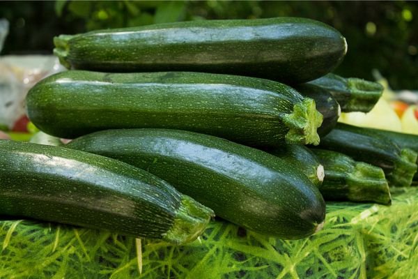 Zucchini