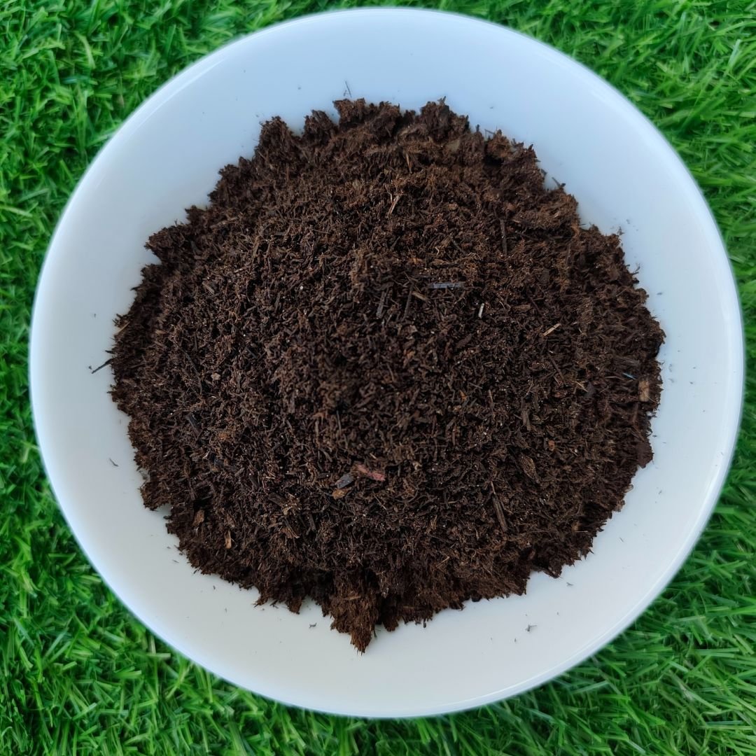 5L REKYVA peat moss – premium imported growing medium, ideal for germinating kale seeds.