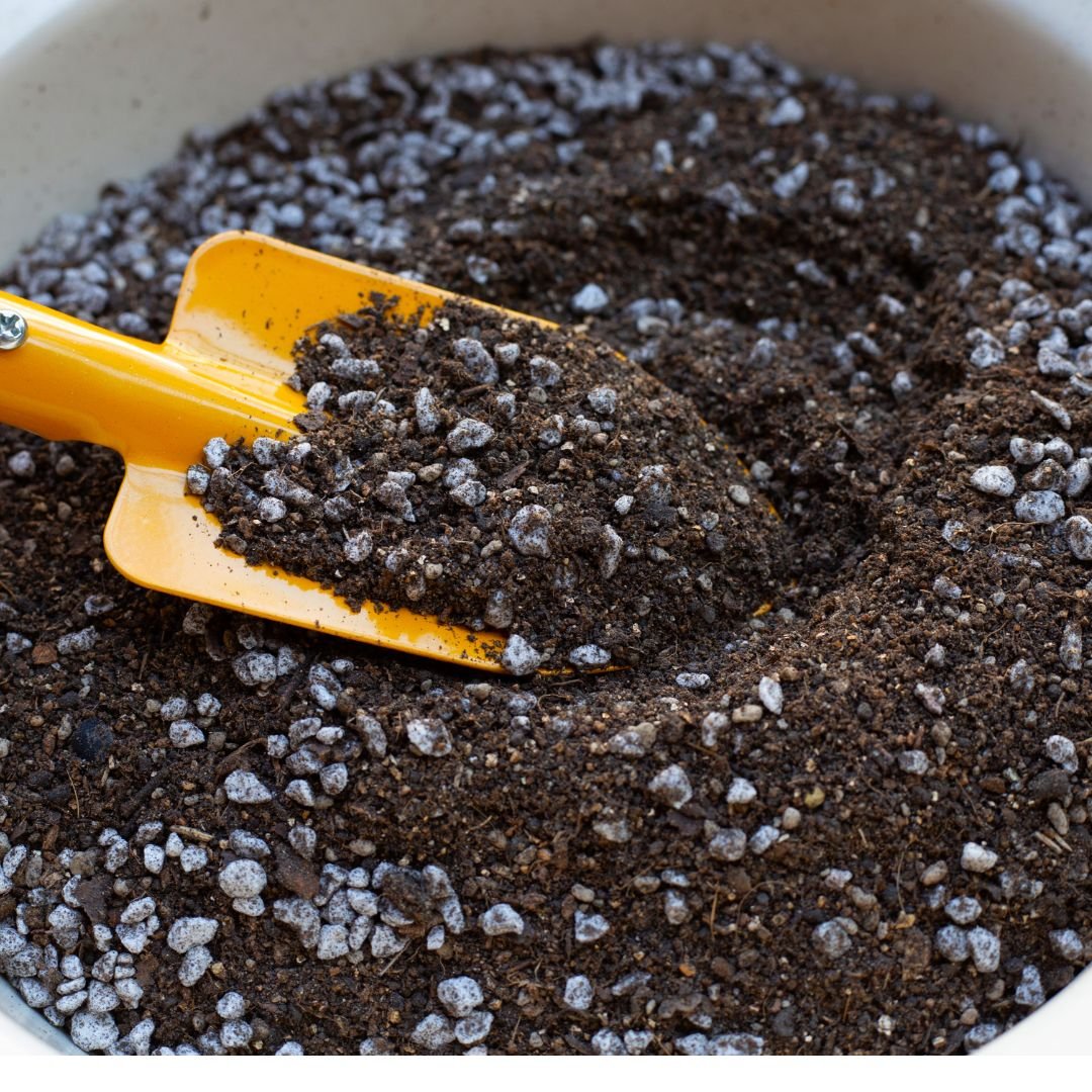 5L REKYVA peat moss – premium imported growing medium, ideal for germinating kale seeds.