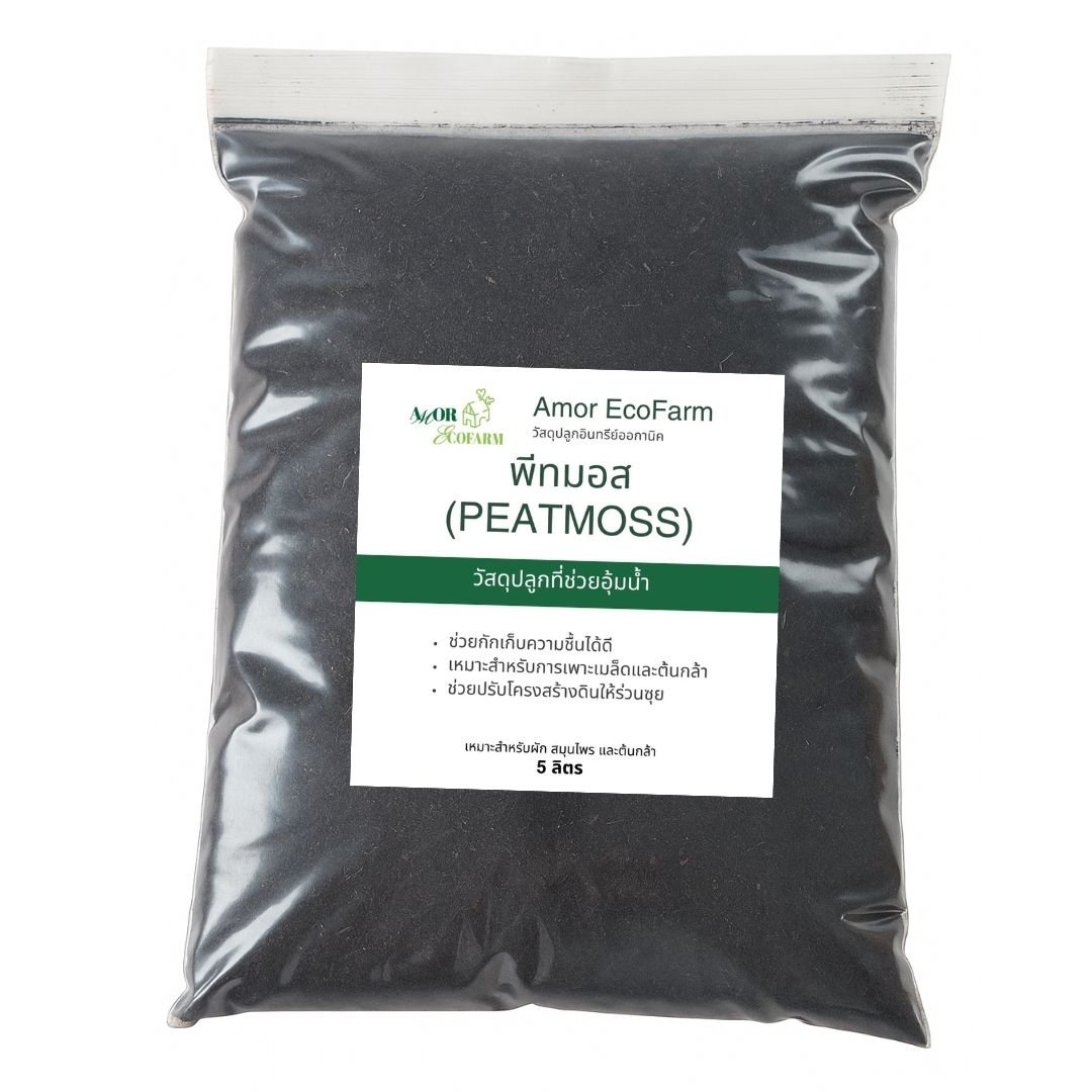 5L REKYVA peat moss – premium imported growing medium, ideal for germinating kale seeds.