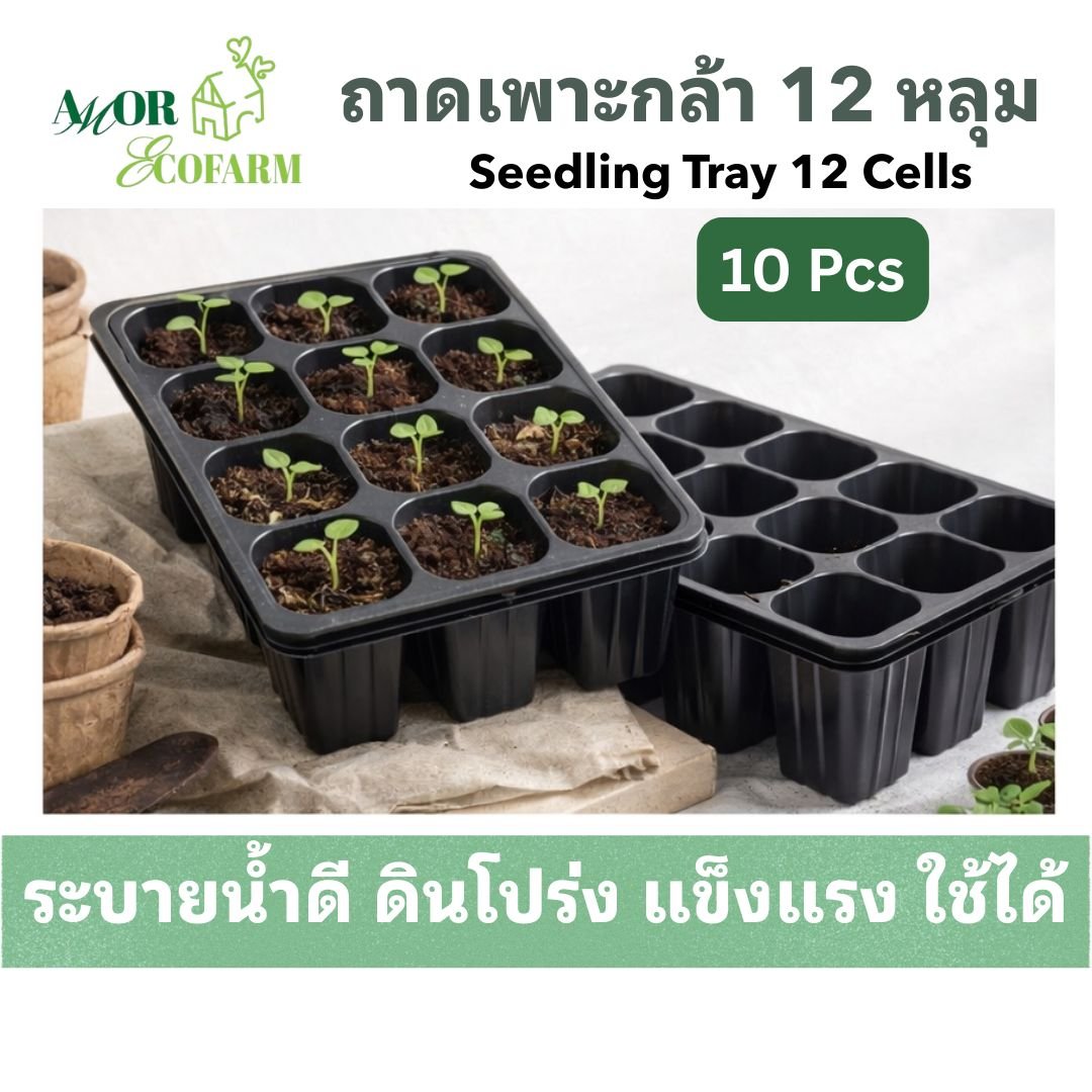 12-cell seedling tray, sturdy, good drainage | Seedling Tray 12 Cells for growing vegetables and sowing seeds (5 pieces / 10 pieces)