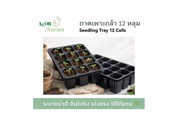 12-cell seedling tray, sturdy, good drainage | Seedling Tray 12 Cells for growing vegetables and sowing seeds (5 pieces / 10 pieces)