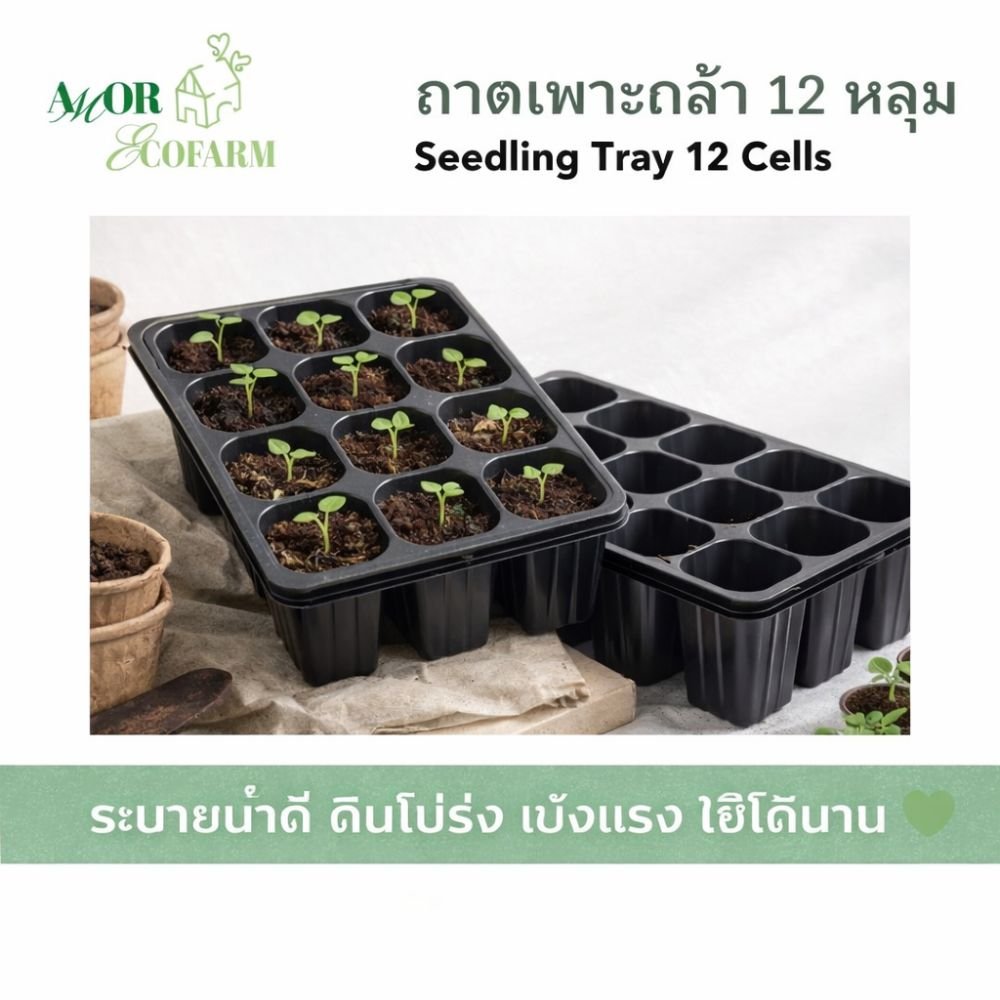 12-cell seedling tray, sturdy, good drainage | Seedling Tray 12 Cells for growing vegetables and sowing seeds (5 pieces / 10 pieces)