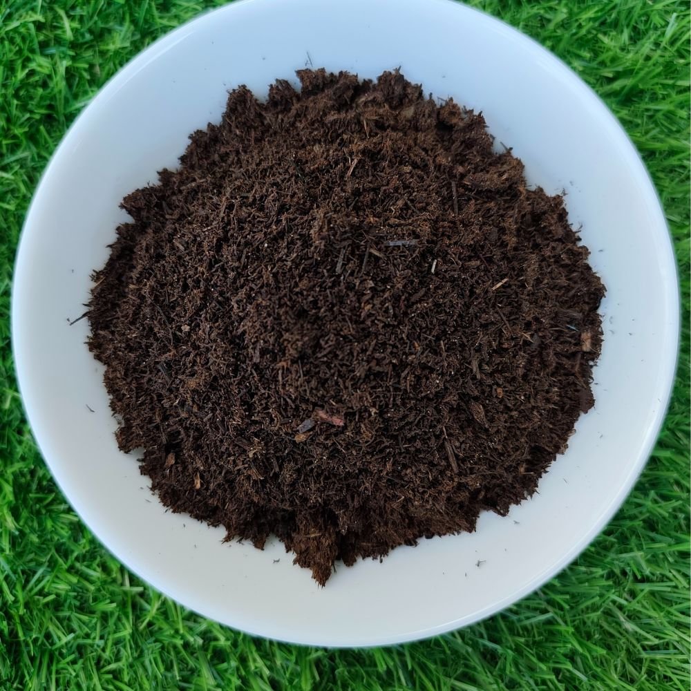 5L REKYVA peat moss – premium imported growing medium, ideal for germinating kale seeds.