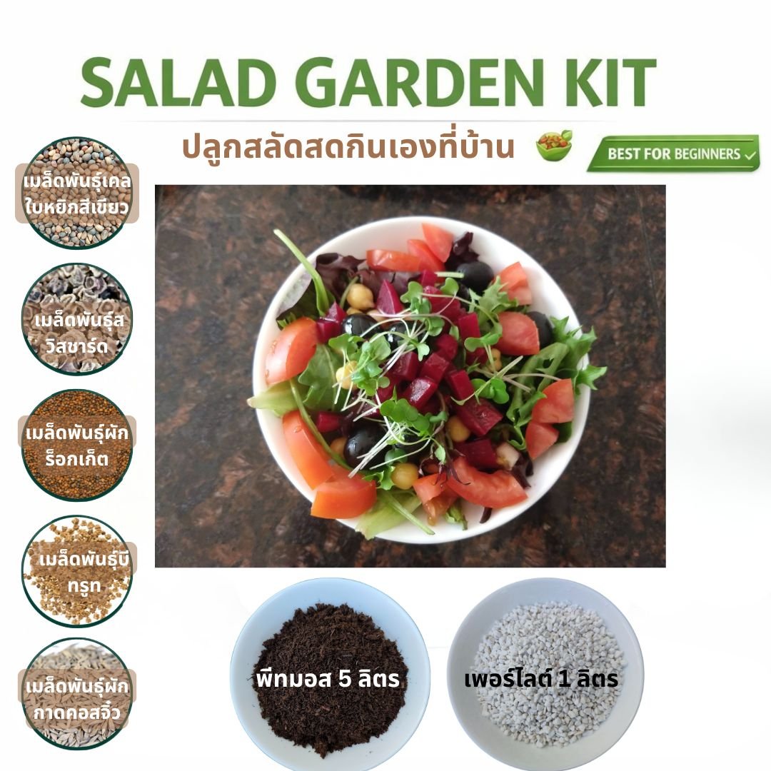 Salad Garden Kit